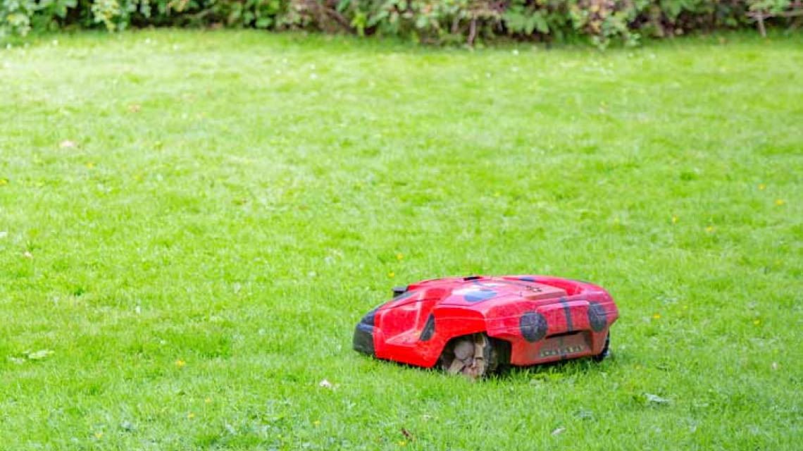 Beste Mähroboter bis 1000 qm Tests & Vergleich 2024