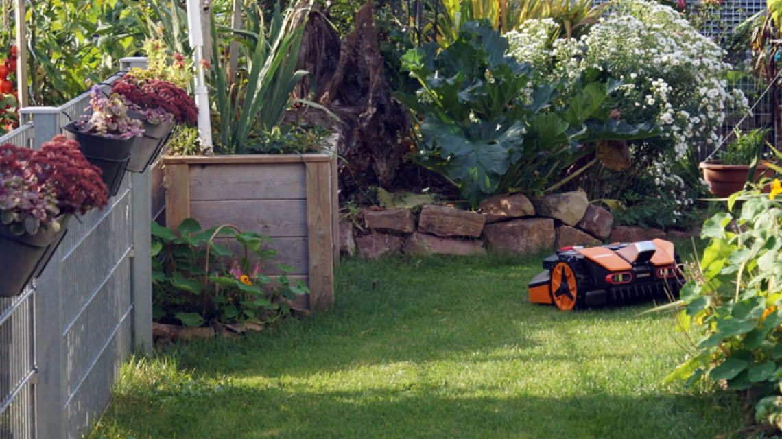 Die besten Mähroboter für kleine Flächen im TestCheck