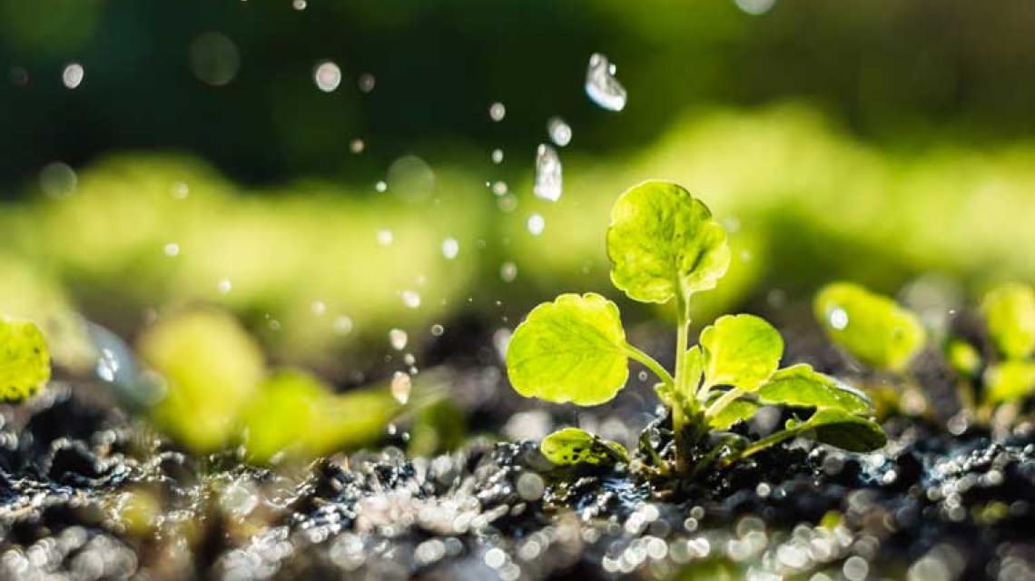 Automatische Garten Bewasserung Im Test Uberblick 2020 Und Vergleich