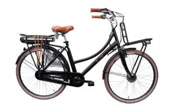 LLOBE City-E-Bike Rosendaal 3 Lady