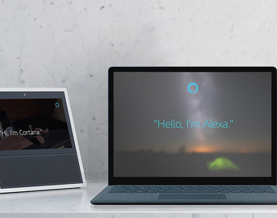 Lustige Sprüche Cortana Lustige Sprüche Cortana