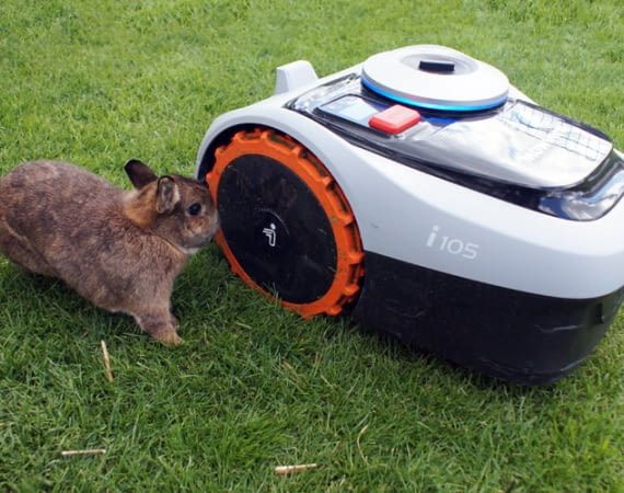 Wenn Tiere frei im Garten laufen, ist Vorsicht geboten