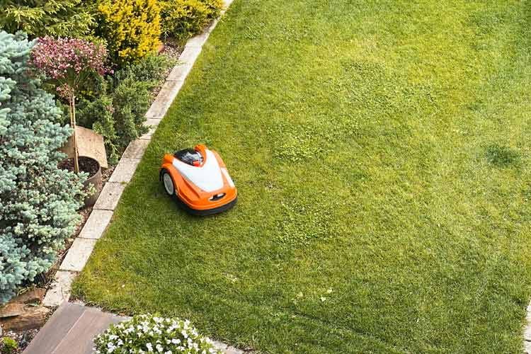 Ein Mähroboter pflegt den Rasen bei jedem Wetter