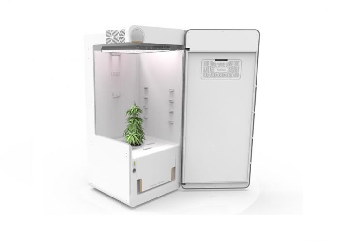 LEAF Gemüsebeet für drinnen