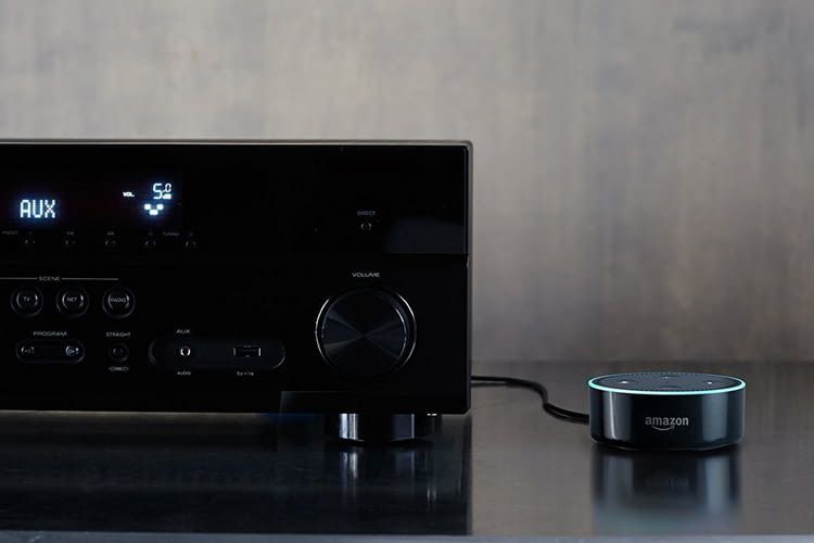 Neben Echo Dot können auch alle anderen Alexa kompatiblen Lautsprecher Musik spielen