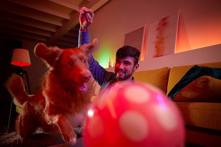 Mit dem Amazon Schnapp über 70 Euro sparen beim Kauf des Philips Hue White und Color Ambiance Starter Sets