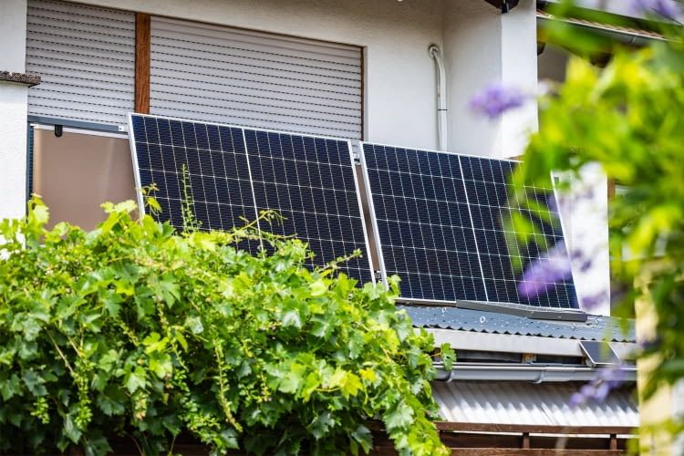 Pflanzen können den Solarstrom-Ertrag durch Verschattung stark reduzieren