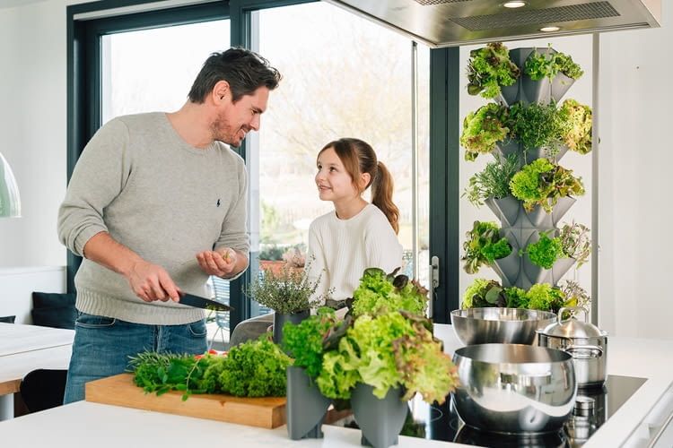 Der greeny+ Pflanzturm lässt sich überall in der Wohnung aufstellen