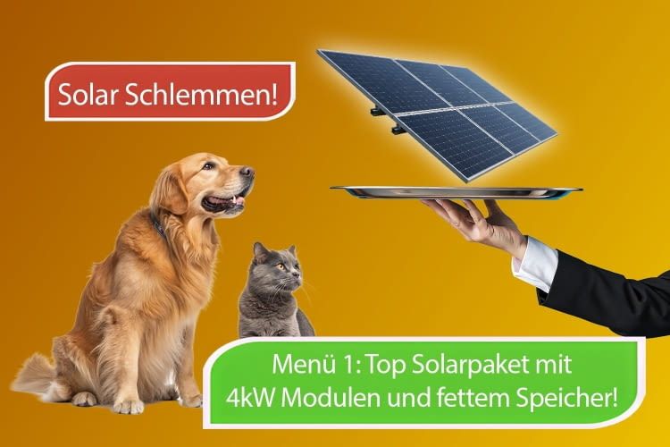 Ein großzügiges Solar Menü gibt's jetzt ganz billig