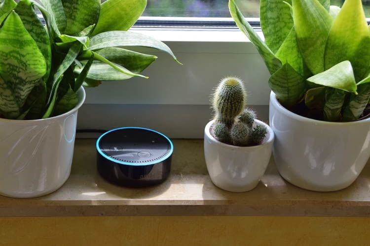 Mit Amazon Echo Dot lassen sich hunderte, Alexa-kompatible Haushaltsgeräte steuern