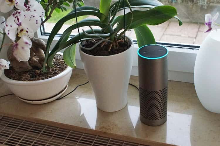 Mit Alexa müssen wir nicht mehr jede Lampe einzeln einschalten oder dimmen