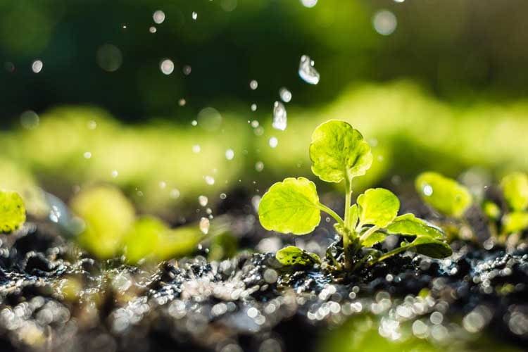 Automatische Garten Bewasserung Im Test Uberblick 2020 Und Vergleich