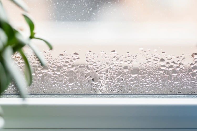 Kondenswasser bildet sich innen am Fenster in kalten Jahreszeiten