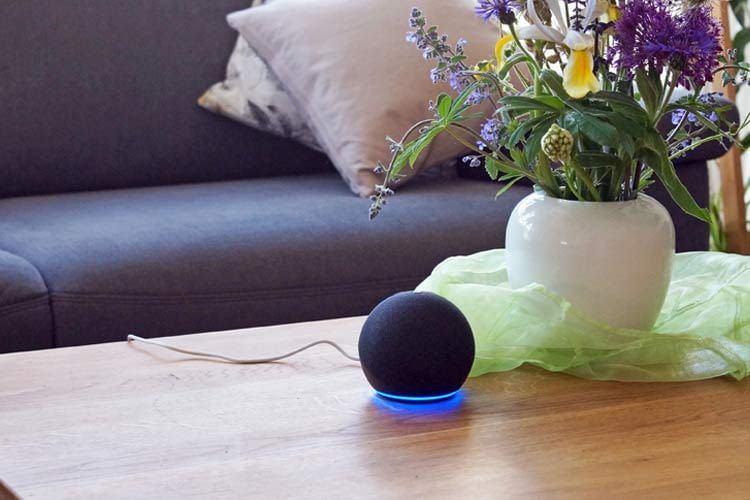 Wir verraten, welche Zusatzfunktionen bei Alexa besonders gefragt sind