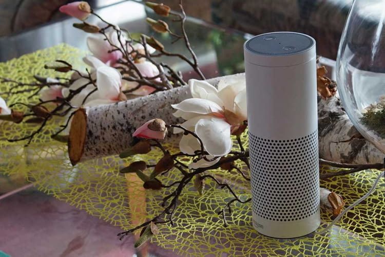 Diese Gerate Sind Mit Amazon Alexa Steuerbar