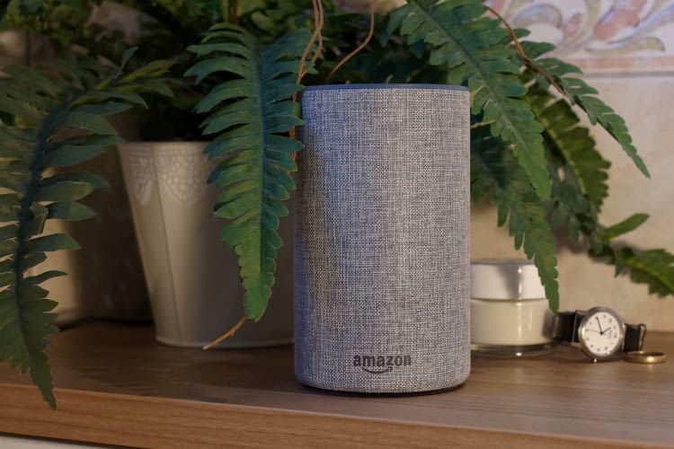 Tunein Radio Mit Alexa Horen So Geht S
