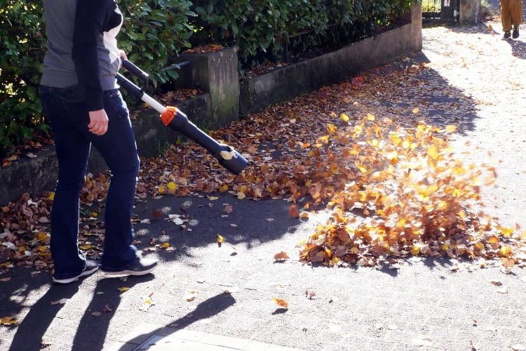 Dieses Worx Modell bewies in unserem Test ordentlich Power