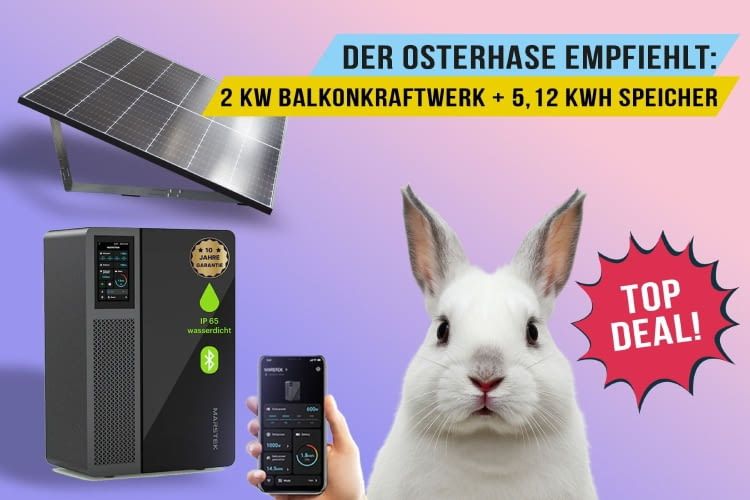 Wer zu Ostern nicht zugreift, bereut es vielleicht den ganzen Sommer über