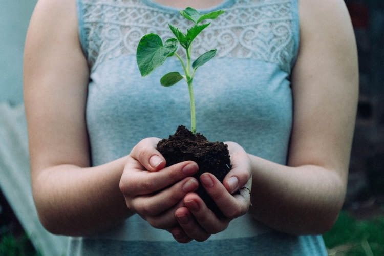 Riscaldamento ecologico con la pompa di calore geotermica