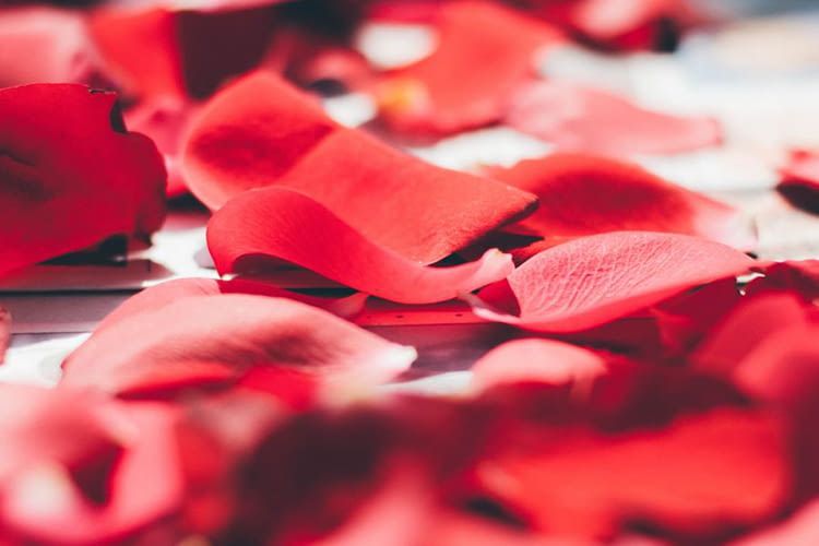 Philips Hue Labs hat für den Valentinstag spezielle Lichtrezepte entwickelt