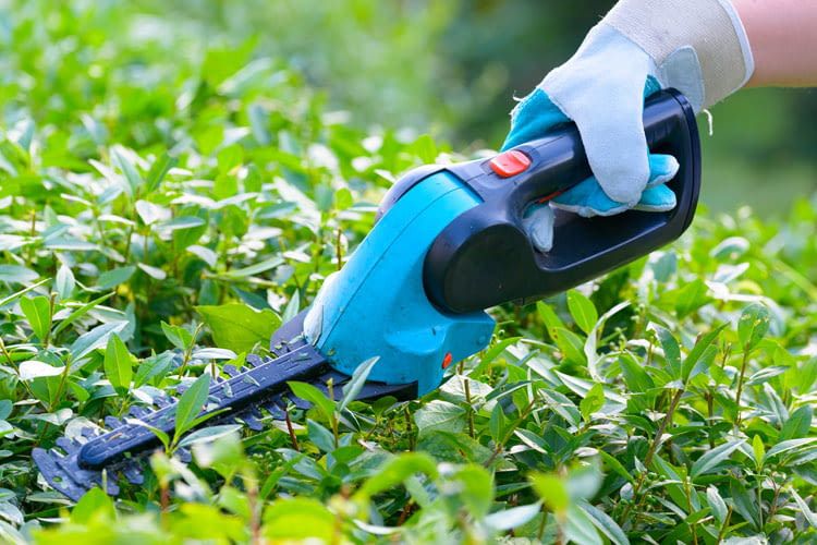 Akku Heckenscheren erleichtern und beschleunigen die Gartenpflege