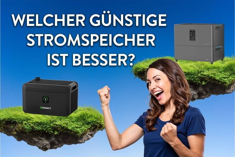 Wie vergleichen zwei günstige Speicher Alternativen