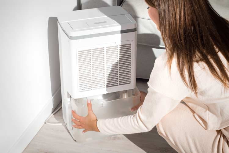 Vi presentiamo i migliori deumidificatori per la casa