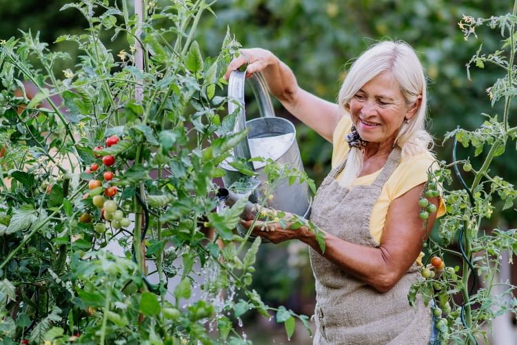 Wir wissen, was Gartenliebhabern wirklich Freude bereitet