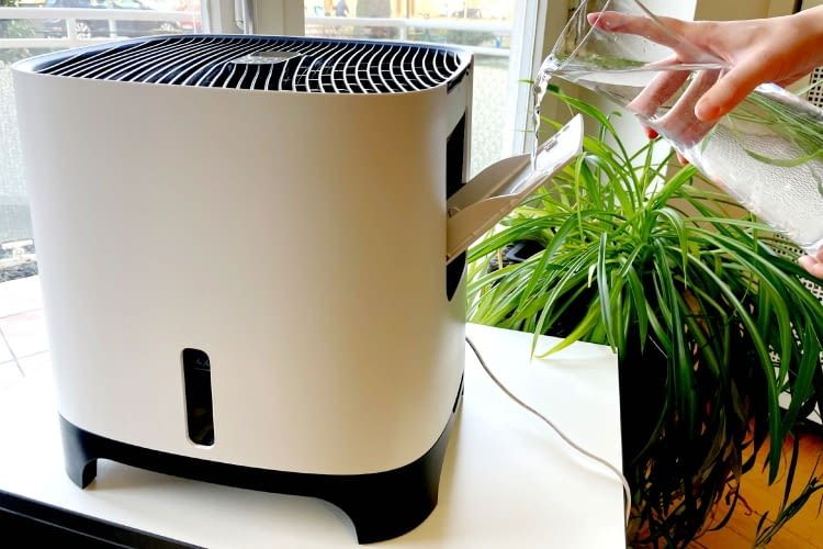 Im elektrische Luftbefeuchter Test 2026 nehmen wir die besten Modelle unter die Lupe