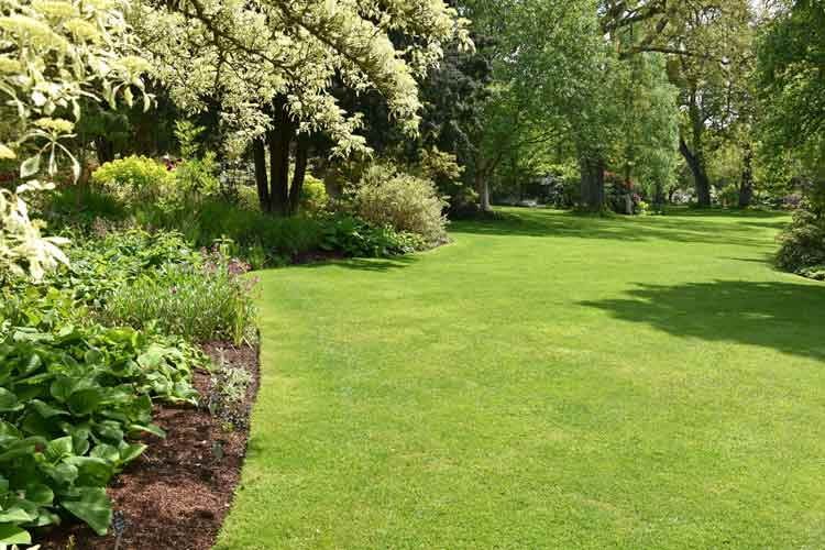 Vorbild für viele Rasenfreunde: Englischer Rasen mit perfekt gemähter Rasenkante