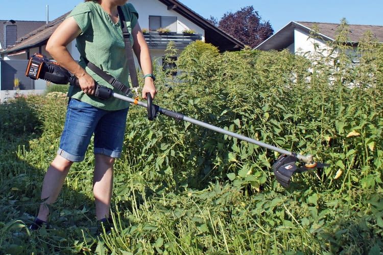 In unserem Test meisterten nur Modelle mit Schneidklingen diese hohen Brennnesseln