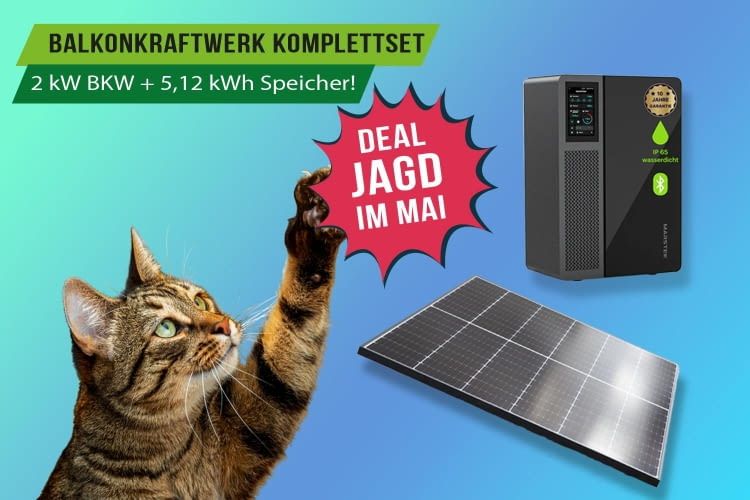 Im Mai wartet ein irrer Fang auf alle Angebots-Jäger