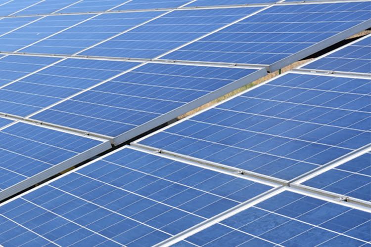 Photovoltaik, so weit das Auge reicht: Bei Milk the Sun dreht sich alles um Solaranlagen