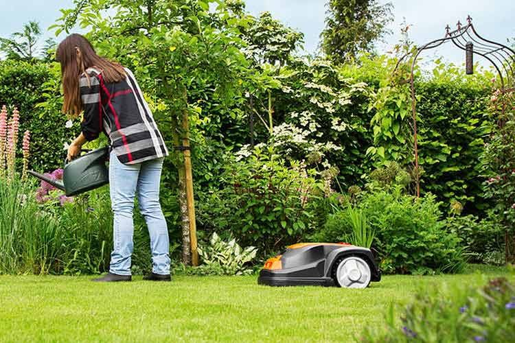 Yard Force ist für seine günstigen Mähroboter bekannt