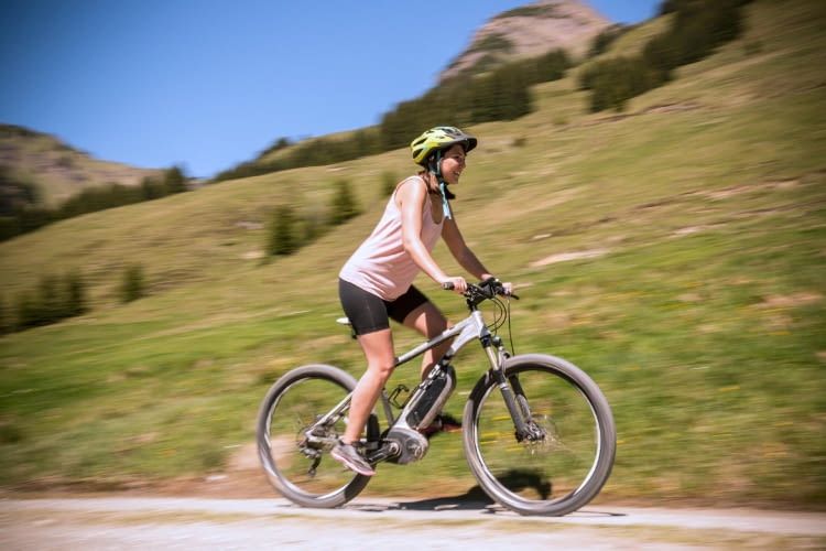 Wir zeigen welche Marke gute E-Mountainbike im Angebot haben