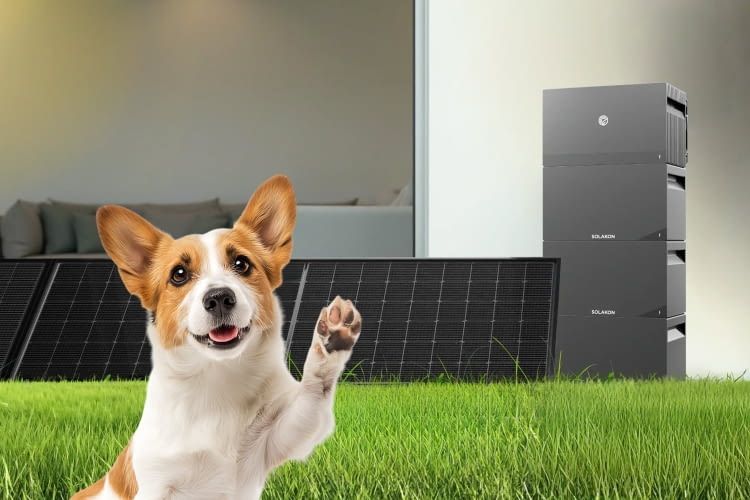 Bei diesem Starter-Set können auch Anfänger direkt loslegen