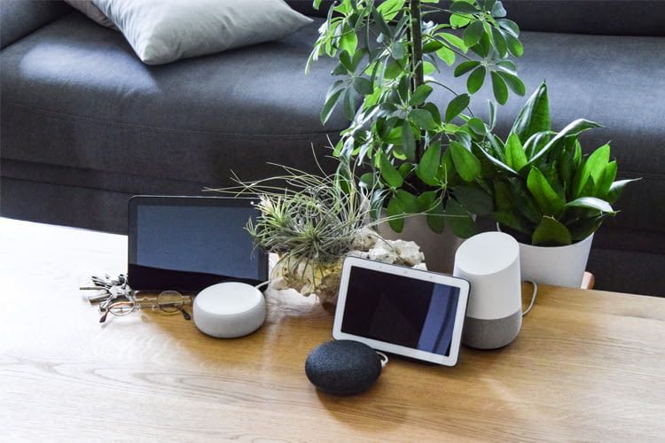 A sinistra potete vedere due dispositivi Alexa, a destra una selezione di dispositivi Google Assistant.