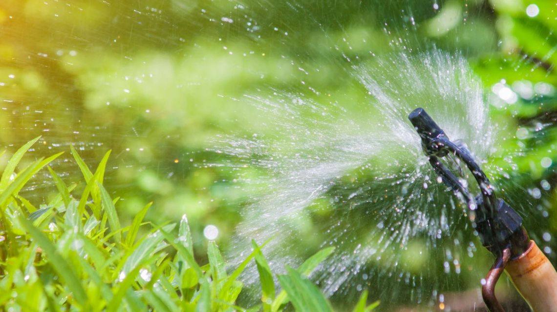 GreenIQ Bewässerung stündlich
