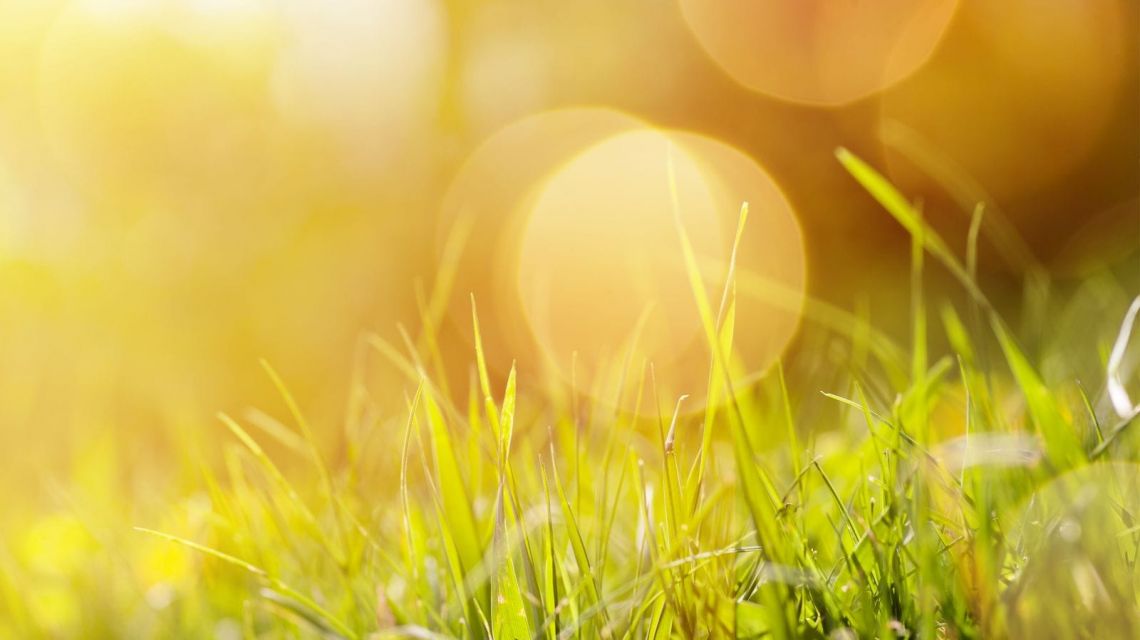 GreenIQ Hitze Bewässerung