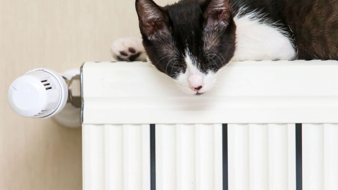 Hive Active Heating Temperatur 5 Grad mehr Leistung
