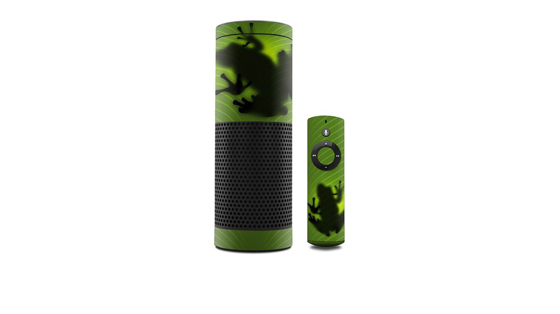 amazon-echo-skin-frog-frosch