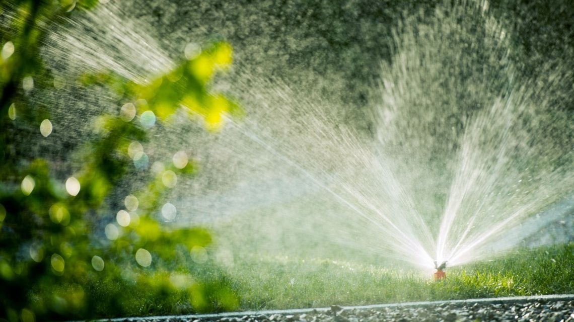 GreenIQ Nest Proetct Rauch Bewässerung