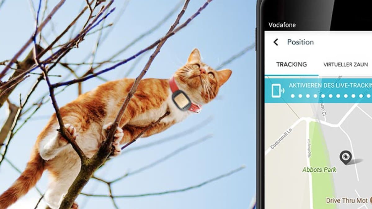 V pet tracker vodafone store