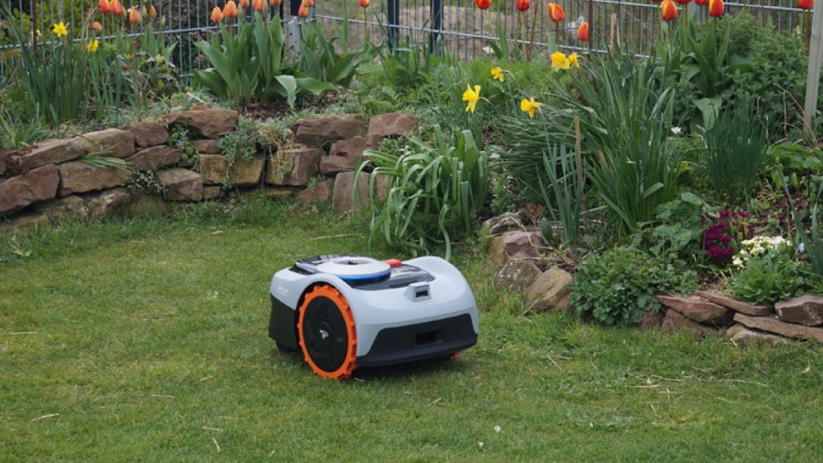 Mähroboter für kleine Flächen im Test Die 3 besten Modelle