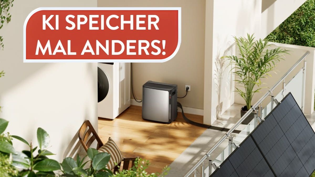 Julissa's ultimate display