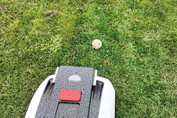 Den Tennisball wurde nicht erkannt und überfahren