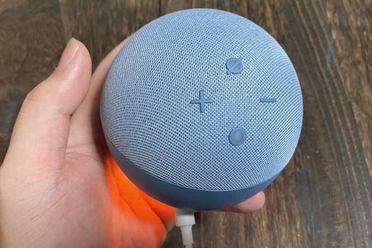 Welche Amazon Echo Modell taugen als Smart Home Steuerzentrale?