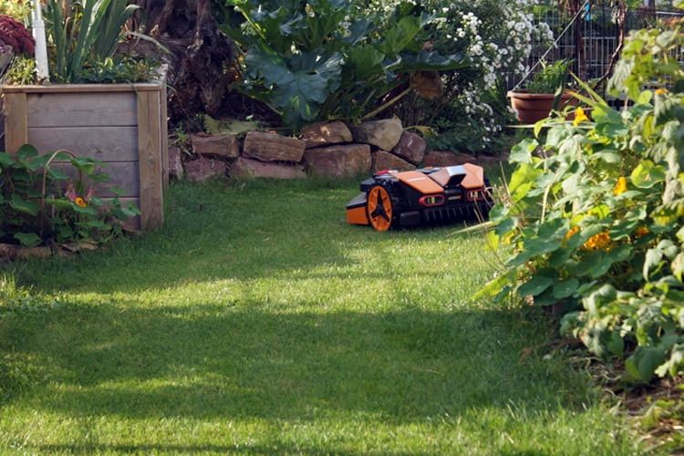 Unser Worx Test fand in einem sehr komplexen Garten statt