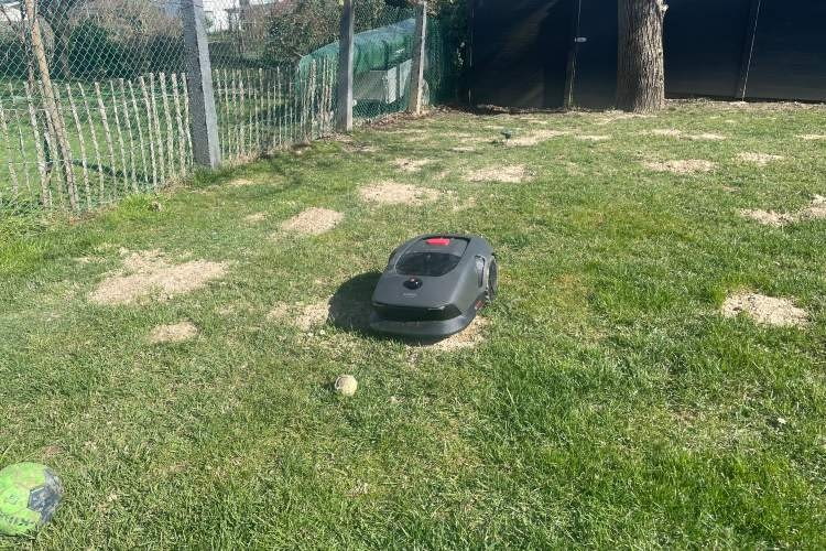Sogar der kleine Tennisball wurde erkannt und sicher umfahren