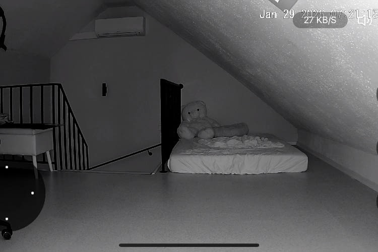 Auch die Nachtsicht liefert gute Details dank Infrarot